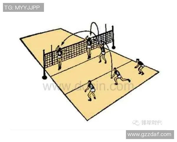 深入分析北京排球队进攻战术与技术特点的全景解读